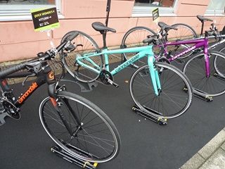 13705254_270712003299618_2084759126_n