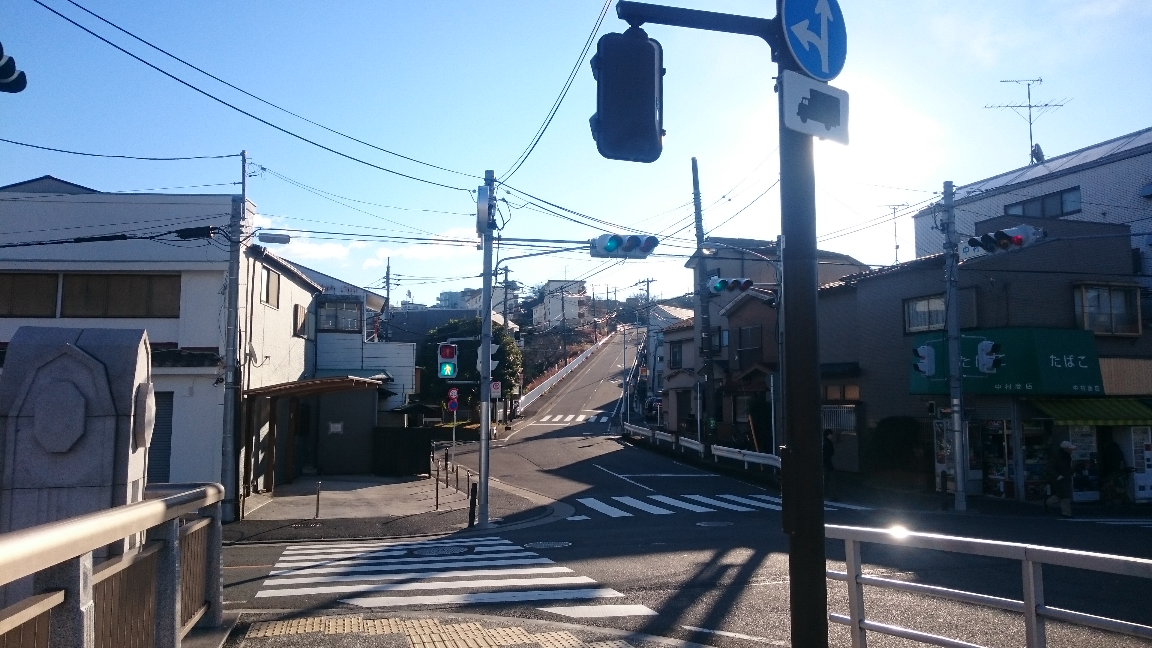 DSC_1137[1]