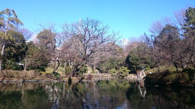 DSC_1203[1]