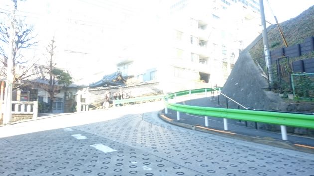 DSC_1230[1]