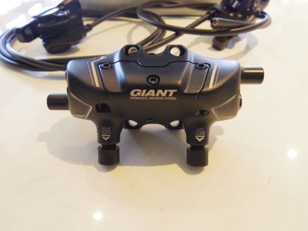 IMGP2762