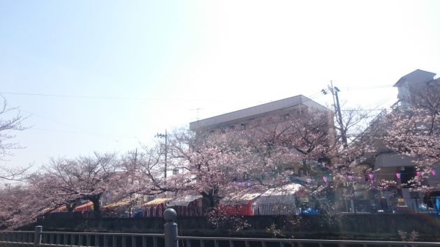 DSC_1594[1]