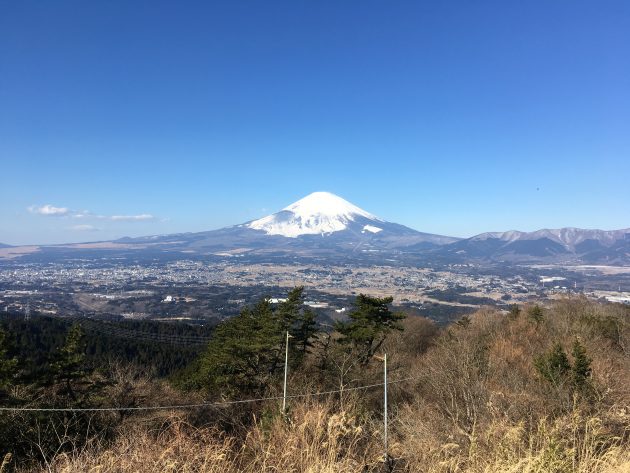 写真 2017-01-22 9 47 38