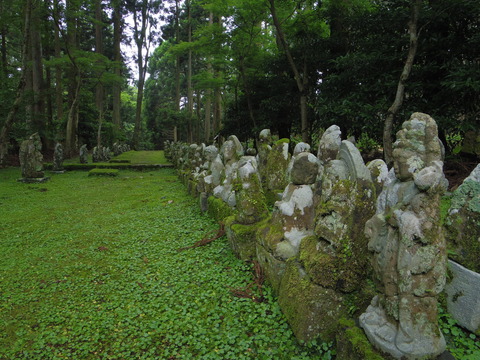 IMGP8998