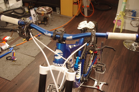 IMGP3108