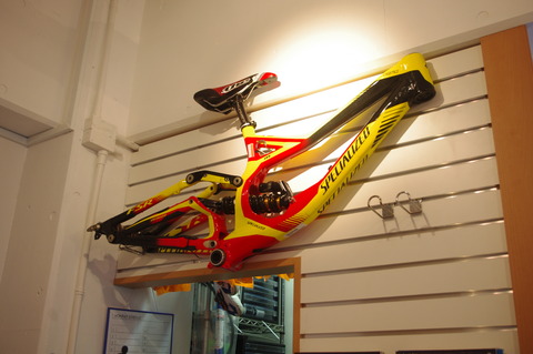 IMGP2539