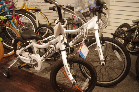 IMGP2639