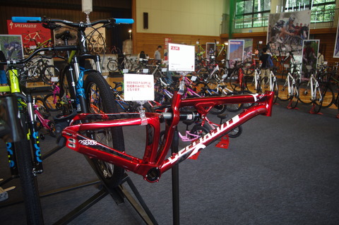 IMGP3227
