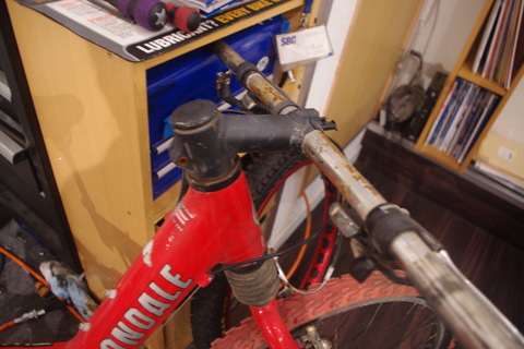 IMGP4584