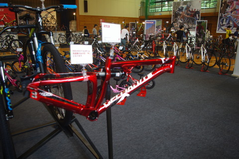 IMGP3226