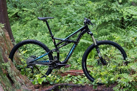 2013-enduro-29er-1-624x416