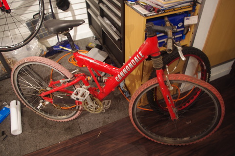IMGP4583
