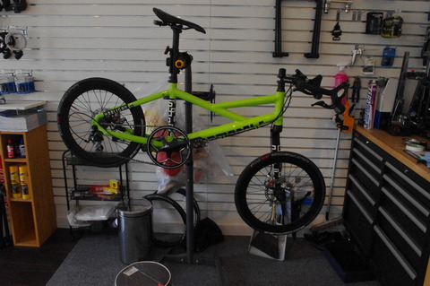 IMGP2505